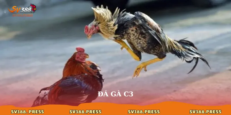 da ga c3