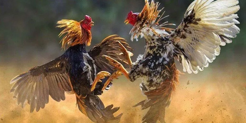 Trang chủ 5 Hệ thống bảo mật đảm bảo tuyệt đối cho khách hàng