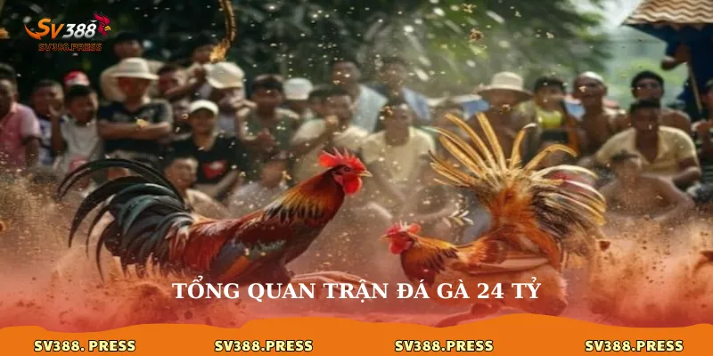 Tổng quan trận đá gà 24 tỷ