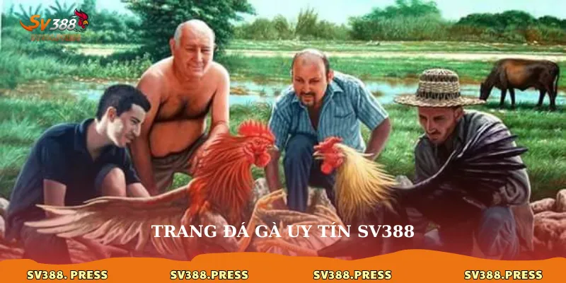 trang-da-ga-uy-tin-sv388